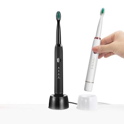 China USB Charging Base IPX7 Wireless Teeth Whitening Cheap Kids Slim Rechargeable Sonic Electric Toothbrush For Adults M100 for sale