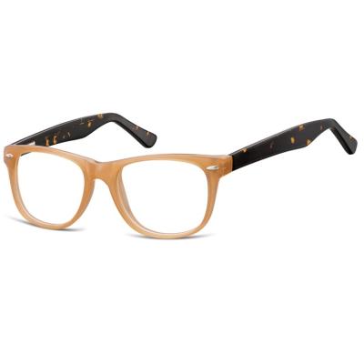 China 20 years experience on Eyewear Products Eyewear Acetate Optical Frames High Placed Glasses for sale