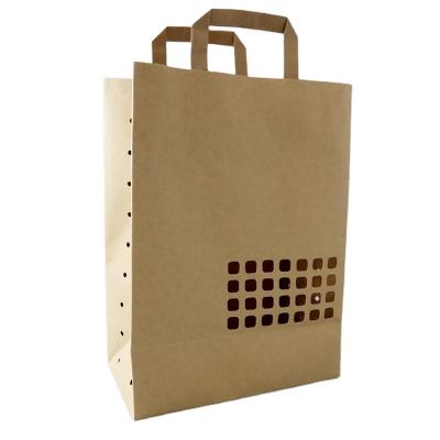 China Recyclable Custom Paper Flower Gift Bags With Handle Kraft Paper Paper Bags For Flower for sale