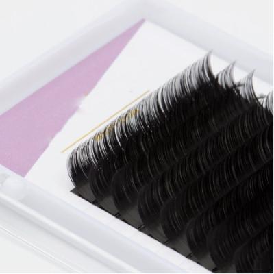 China /Soft natural 16 lines professional eyelashes, soft ermine eyelashes extension for sale