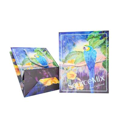 China Recyclable Luxury Custom Logo Printed Full Color Printing Gift Customized Shopping Packaging Paper Bags for sale