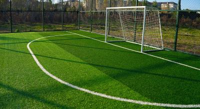 China 10 Years 14000 Dtex Artificial Grass Sports Flooring Roll Wear-Resistant for sale