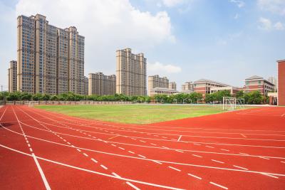 China Red Synthetic Rubber Jogging Track All Weather Athletic Track Flooring for sale