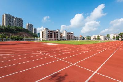 China 0.66N/mm2 Athletic Track Surfaces 13mm Synthetic Sport Ground Flooring for sale