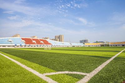 중국 SGS 증명서 인조 잔디는 종합적 카펫 축구 법원을 풀로 덮습니다 판매용