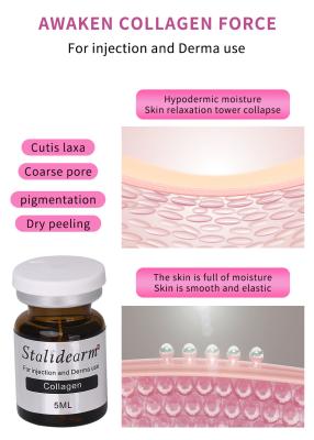 China Stalidearm Facial Care Face Moisturizing Skin Firming Meso Serum Anti Wrinkles Collagen Dermal Filler 5ml for sale