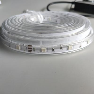 China Commercial Use 24V LED Strip Light Effect Low Voltage Christmas Strip Lights Waterproof Outdoor Indoor Outdoor for sale