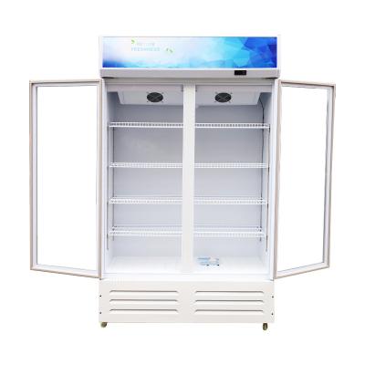 China Single-Temperature Limited Time Goods Large Capacity White Double Door Display Freezers for sale