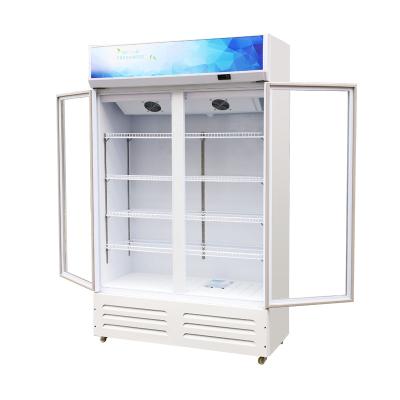 China Single-temperature Highest Quality Lockable Door Long Life Glass Door Freezer For Beer for sale