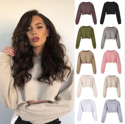 China QUICK DRY Women Round Neck Long Sleeve Female Casual Sweater Warm Women Sweatshirts Full Face Top Hoodie for sale