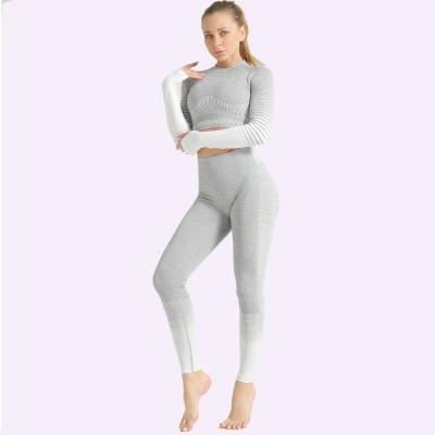 China Autumn Women Fitness Sports Gym Breathable Long Sleeve Activewear Workout 2 Pcs Sets Top And Gaiters Logo Short Yoga Set for sale