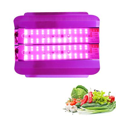 China Seed Starting Outdoor LED Grow Light 100W Full Spectrum Plant Lights Waterproof IP65 COB Grow Tent Light Phytolamp Indoor Grow Lamps for sale