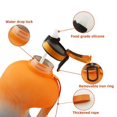 China Viable Sports Water Bottle Protein Sports Shaker Drinking Bottle Customized Logo BPA Free 1 Gallon Fitness Portable Motivational Straw for sale