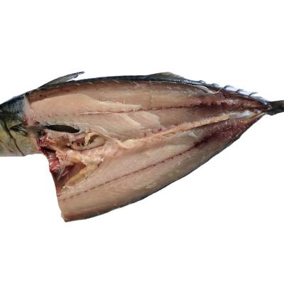 China NATURE Japonicus Frozen Pacific Sea WR Mackerel Fish Scomber for sale