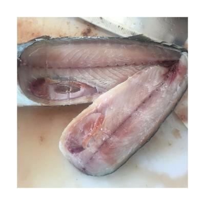 China Good Quality Vitamins X6 Whole Round Pacific Mackerel Mackerel Pacific Scomber Japonicus Fish for sale