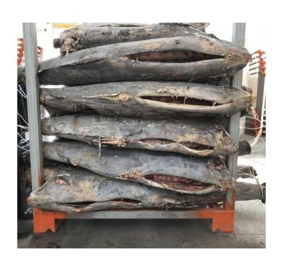 China Best Quality 30KG+ HGT Low Sugar Frozen Sail Fish for sale