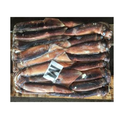 China Organic Ready Stock Argentina Illex High Quality Frozen Squid for sale