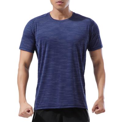 China New Casual Men's Sports Anti-Wrinkle O-Neck Print Shirt Quick Dry Striped Loose Fit Custom T-shirt Reflective Running T-Shirts For Men for sale