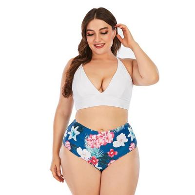 China Hot Selling Plus Size Women Plus Size Swimwear Lace Floral Printed Bikini Two Piece Swimwear Wholesale For Ladies for sale