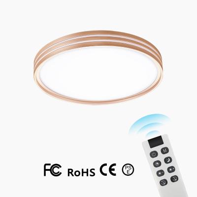 China Modern Living Room Modern Kitchen French Amazon Ceiling Lights Lamp Bedroom Led Ceiling Light With Remote Control for sale