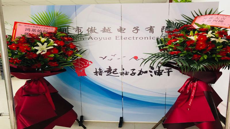 Verified China supplier - Shenzhen Aoyue Electronics Co., Ltd.