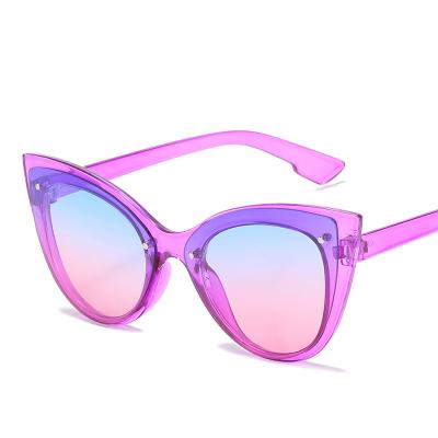 China New design fashion sunglasses women's purple sunglasses shape at Central Institute of Statistics Cheap Sunglass Cat Design for sale