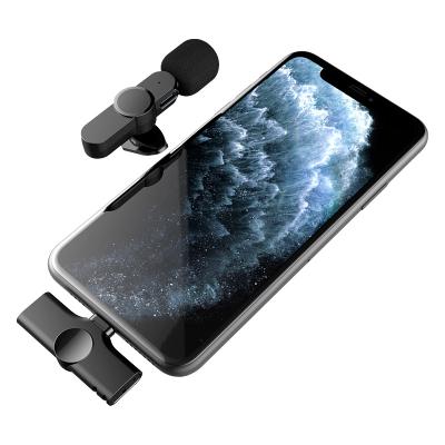 China Portable Handheld Phone Live Streaming Wireless Lavalier Mini Lapel Recording Mobile Microphone Microphone for sale