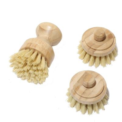 China Sustainable All Natural Sustainable Replaceable Spiral Brush Kitchen Cleaning Brush Dish And Pot Head Brush for sale