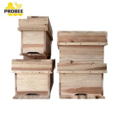 China Korean Farms 7 Frames Wooden Hive Bee Hive For Beekeeping for sale