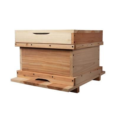 China Korean Farms 10 Frames Wooden Hive Bee Hive For Beekeeping for sale