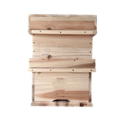 China Korean Native Farms 10 Frames Bee Box For Beekeeping for sale