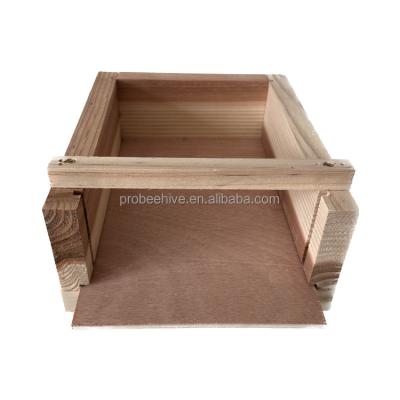 China Korean Native Farms Beekeeping Quadrangle Hive Bee Hive Box for sale