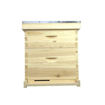 China Farms 10 Frames Hive Box Beekeeping Equipment From China Langstroth Hive Beekeeping for sale