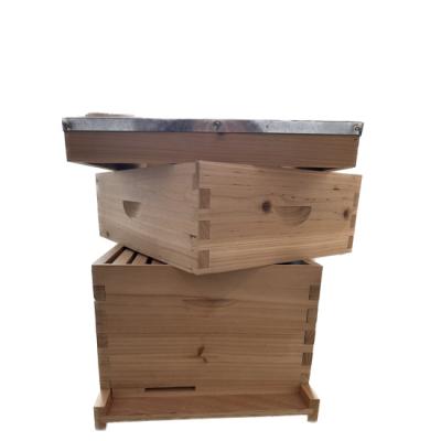 China Wooden Farms Langstroth Hive Bee Hive 10 Frames For Beekeeping for sale