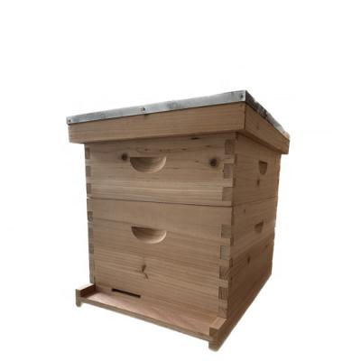 China Wooden Farms Hives 8 And 10 Frames Langstroth Bee Hive For Beekeeping for sale