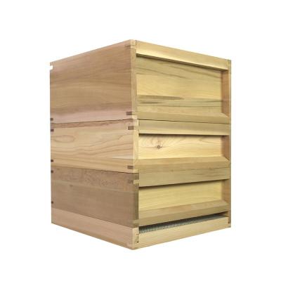 China Cultivate National Bee Hive Beekeeping Hive Box For Beekeeping for sale