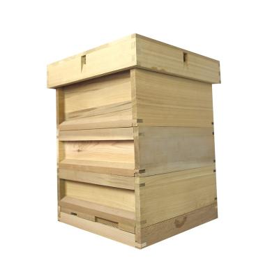 China Cultivate National Hive Bee Hive Beekeeping Beekeeping Wooden Equipment for sale