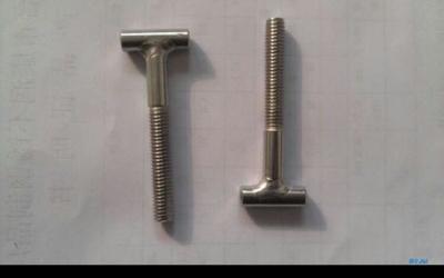 China T bolts half thread special cold forging bolts for sale