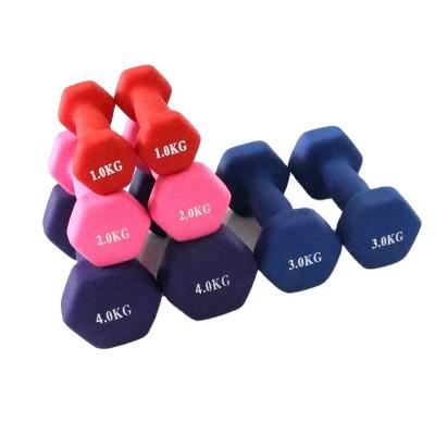 China Plastic Immersion Into The Dumbbell Home Fitness Neoprene Adjustable Dumbbell Fitness Equipment Buy Online For Women 2kg/5KG/10KG for sale