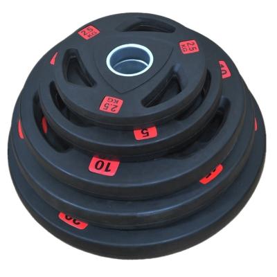 China Universal Factory Wholesale Home Fitness Equipment Dumbbell Set Three Hole Barbell Rubber Plates for sale