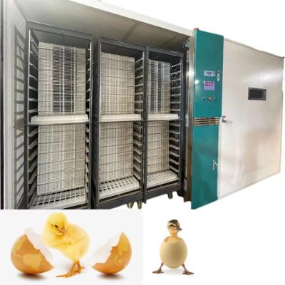 Chine Hachure de l'incubateur automatique 19200 d'oeufs de poulet de large échelle du taux 98% à vendre