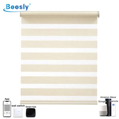 China Zebra Eco-Friendly Dual Motor Battery Operated Smart Roller Blind Google Solar Automate Electric Shades Blinds For Windows for sale