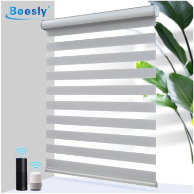 China Eco-friendly high quality smart wifi motorized roller blinds battery double layer motorized window blinds motor patio door shades for sale