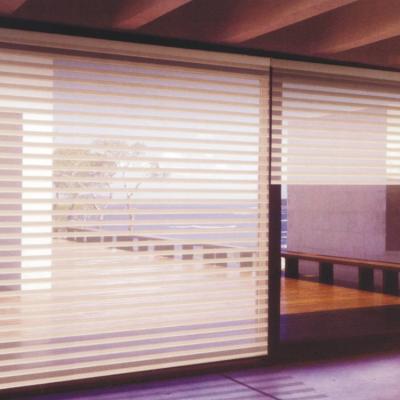 China Elegance Triple Window Shade Zebra Anti-UV Indoor Window Shade for sale