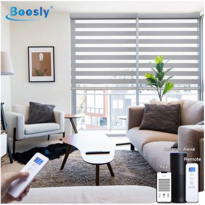 China Best Factory Price Eco-friendly Living Room Office Roll Blind Zebra Shades Electric Zebra Window Shades With App Control Blind for sale