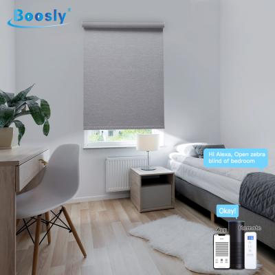 China Customized smart electric motorized automatic remote control smart roller blinds eco-friendly wifi window shade roller blind office shade for sale