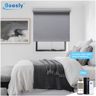 China Traditional design boosly HR14 electric decorative motorized hotel curtains / high quality fabric blind roller blind motor for sale