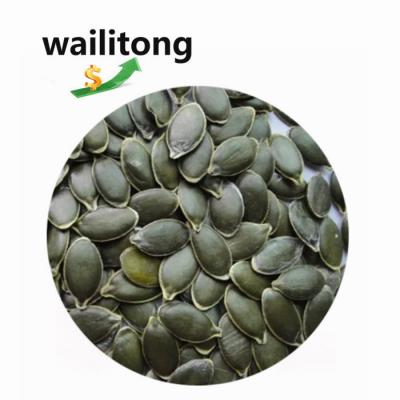 China Wailitong GWS Factory Price Dry Raw Shellless Grade 3A Pumpkin Seeds Grade 2A Dried Kernel With Shine Skin Pumpkin Seed Shell for sale