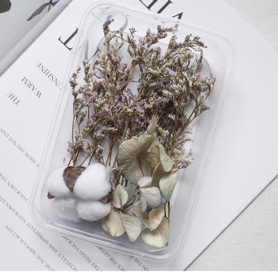 China Artificial Dry Flowers And Plants In The Box Instagram Hot Natural Dry Nordic Flower Bouquet For Home Decoration for sale