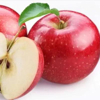 China Fresh Red Star Apple Sweet Crop Style Packing Mature Newest September Color Weight Origin Super Type FUJI Shandong Variety Size Period for sale